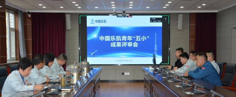 激揚青春智造力！中國樂凱團(tuán)委召開青年“五小”成果評審會